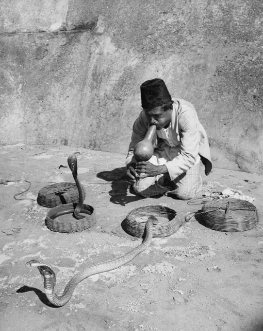 Snake charmer playing a pungi in front of snakes, India