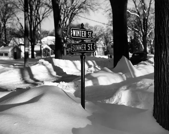 Snowy intersection with street name signs