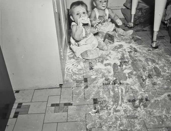 Vintage Photograph. Babies playing in a mess made of flour on kitchen floor