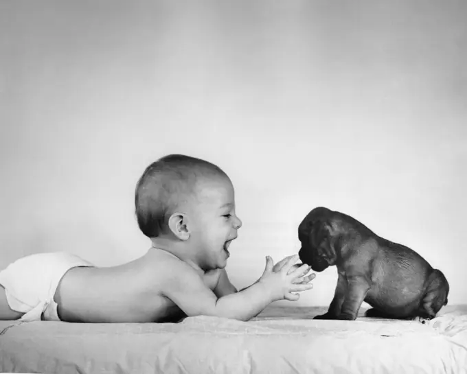 Baby playing with puppy on bed