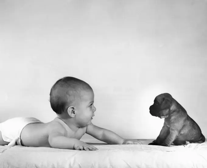 Baby and puppy lying on bed