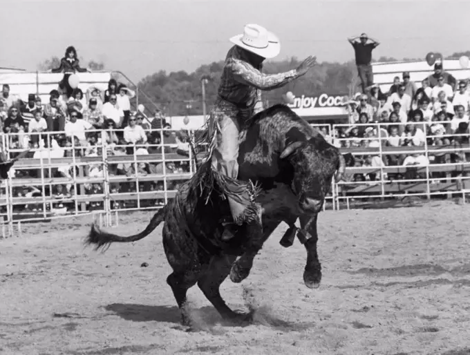 Cowboy riding a bull in a rodeo