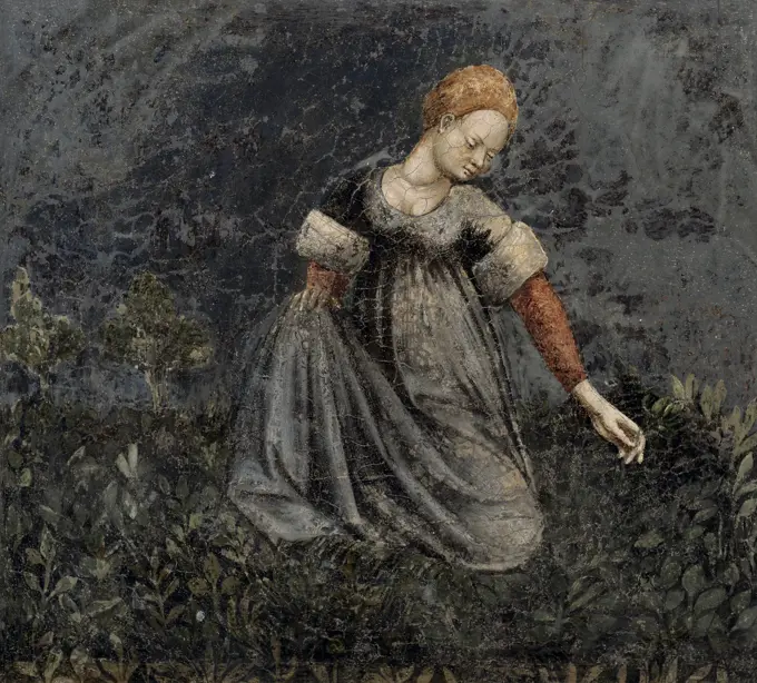 Woman Collecting Herbs in the Country  Artist Unknown  Fresco  Italian Palazzzo della Ragione, Padua 