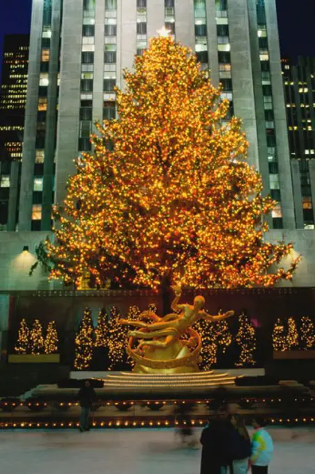 Christmas tree in front of a building lit up at night, Rockefeller Center, Manhattan, New York City, New York, USA