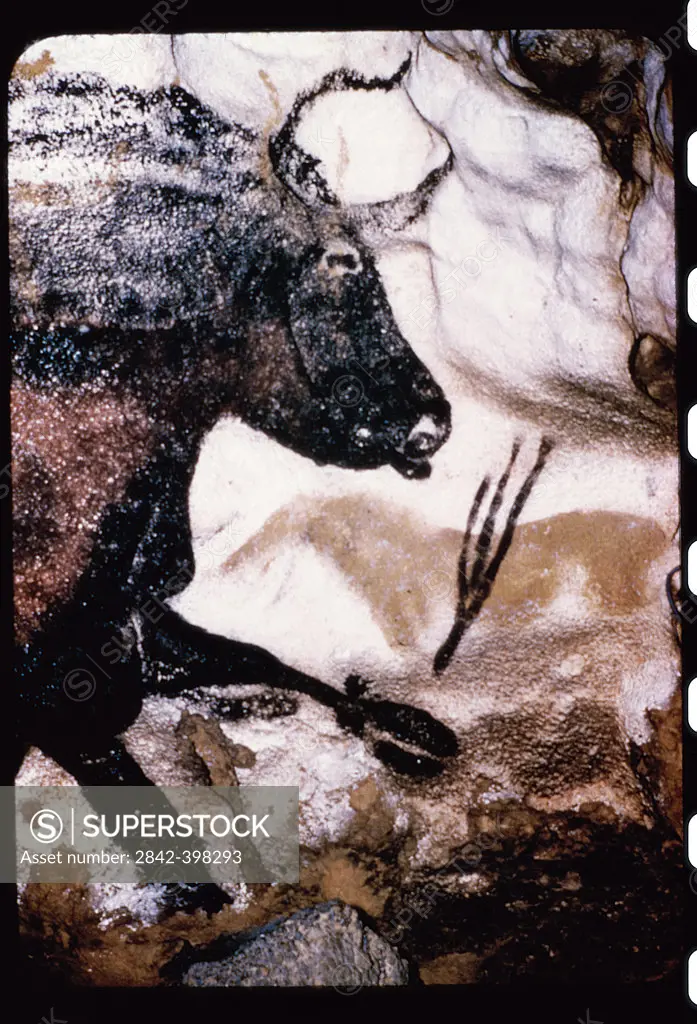 Great Black BullPrehistoric ArtLascaux Caves, France