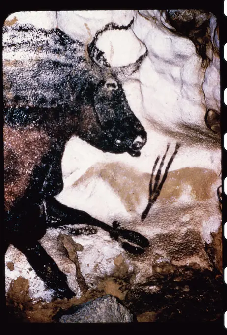 Great Black BullPrehistoric ArtLascaux Caves, France