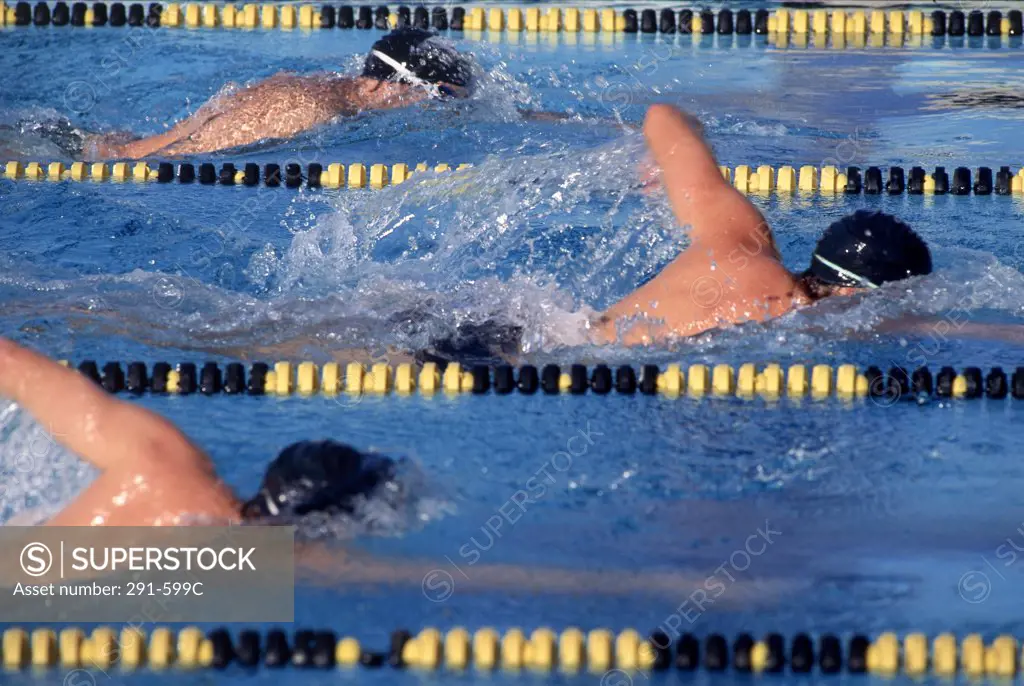 Three swimmers racing in a swimming pool