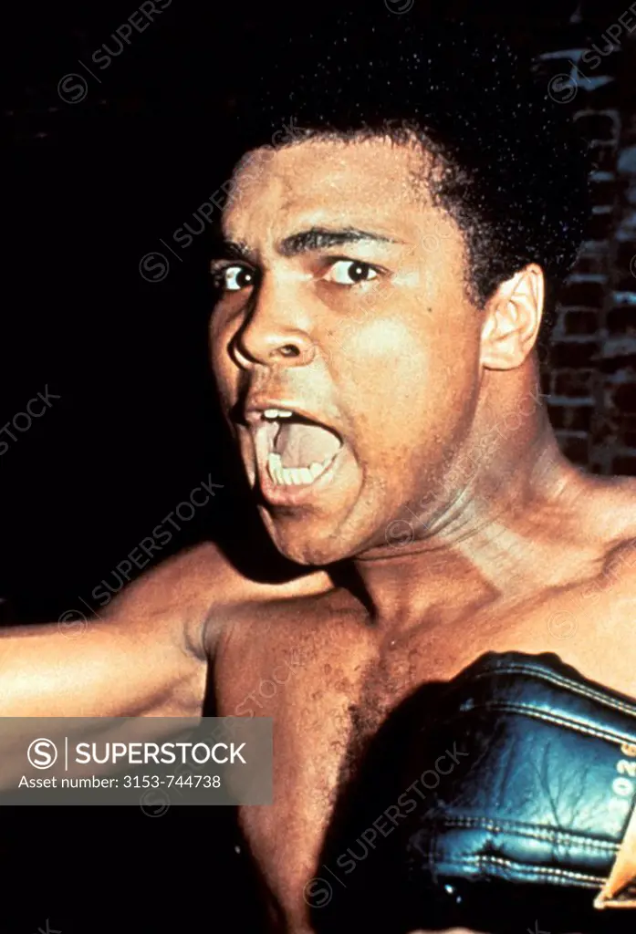 muhammad ali, the whole story