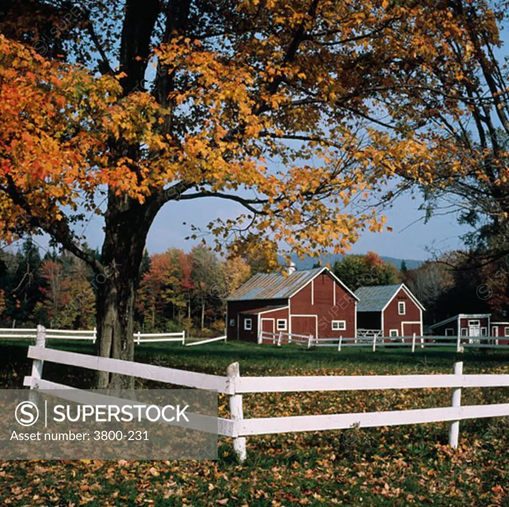 USA, Vermont, Chittenden, farm in autumn