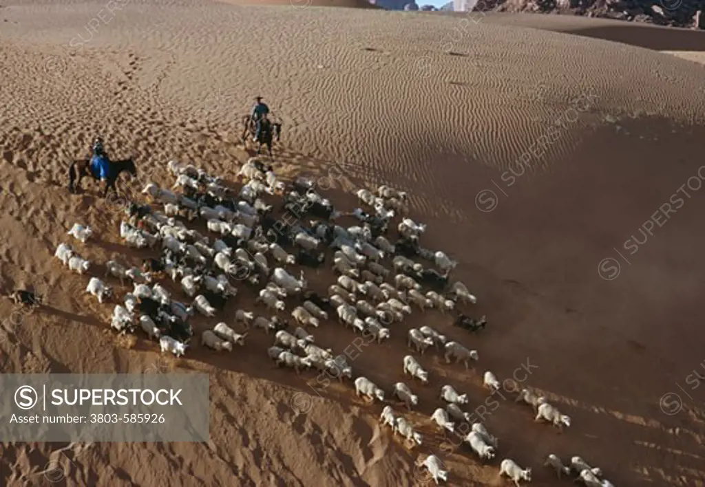 Navajo Sheep Herders Monument Valley Arizona, USA