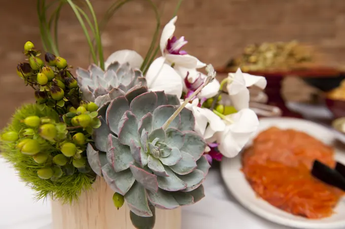 Close up of a succulent table setting at a party, with food in the background