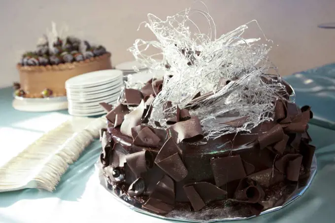 Detail shot of a chocolate cake sitting on a table at a party