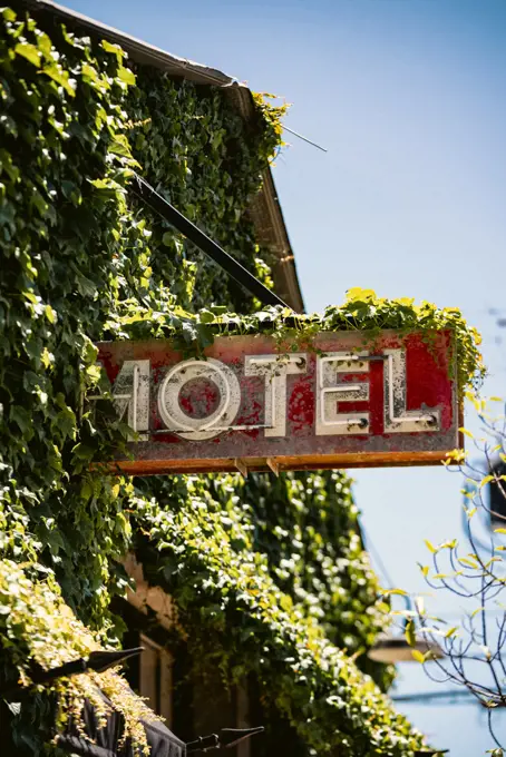 A rustic motel sign covered in ivy outside of downtown San Luis Obispo, California on a summer day.