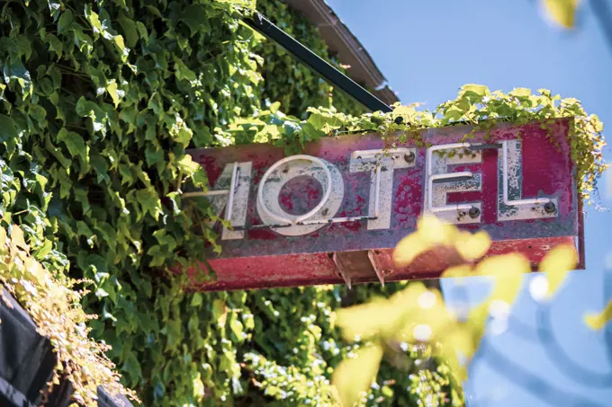 A rustic motel sign from below covered in ivy outside of downtown San Luis Obispo, California on a summer day.