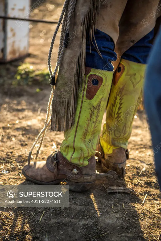 Cowboy boots, spurs and chaps in morning light