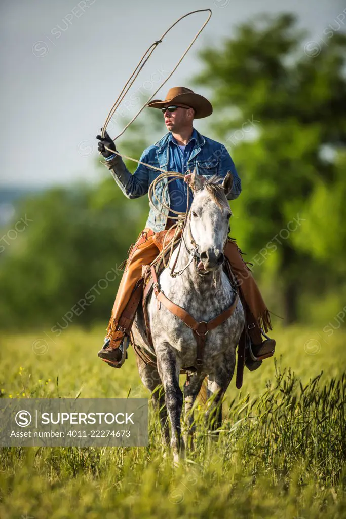 Cowboy on horse swinging lasso