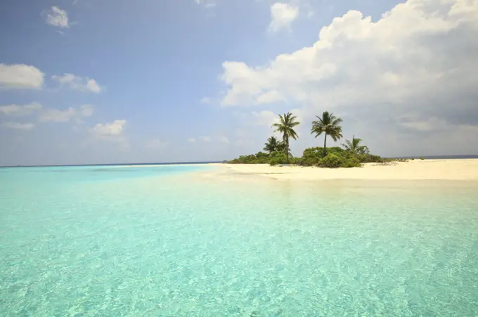 Palm trees on the beach, Mathidhoo Island, North Huvadhoo Atoll, Maldives