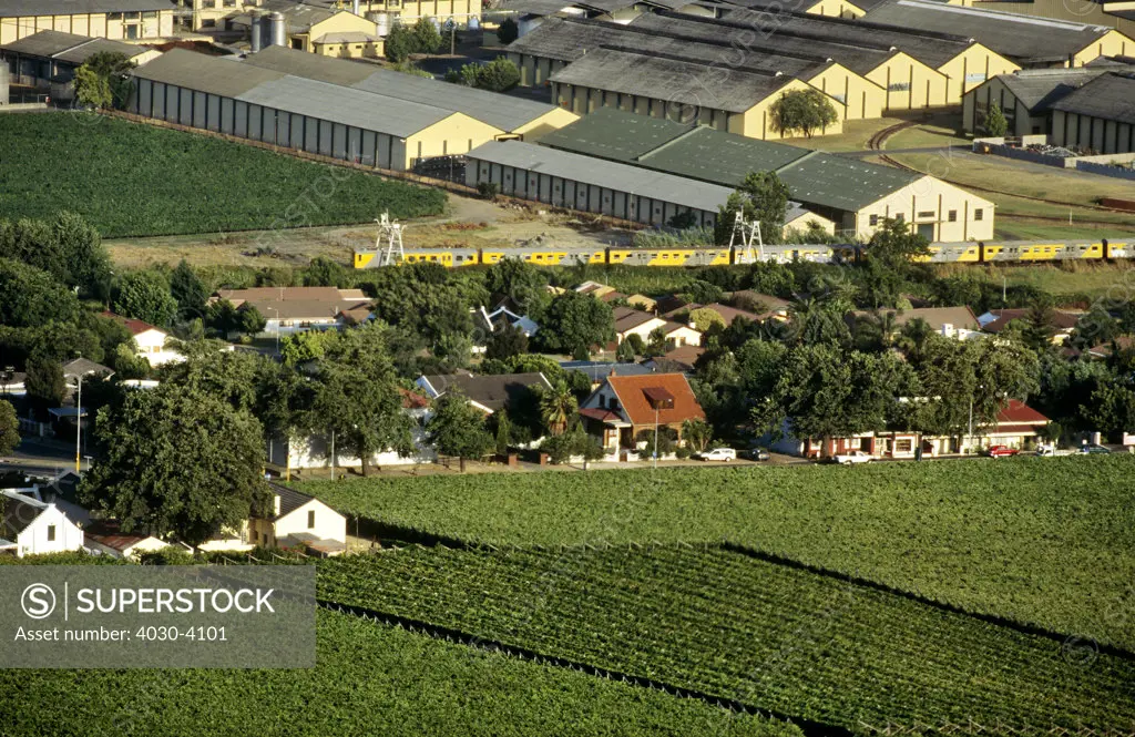 Train, Cape Wine Route, Western Cape