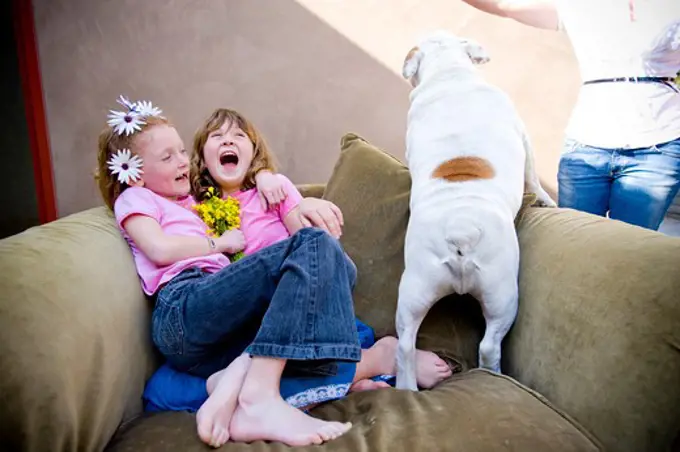 Two girls laughing and playing with a bulldog, San Diego, California, USA