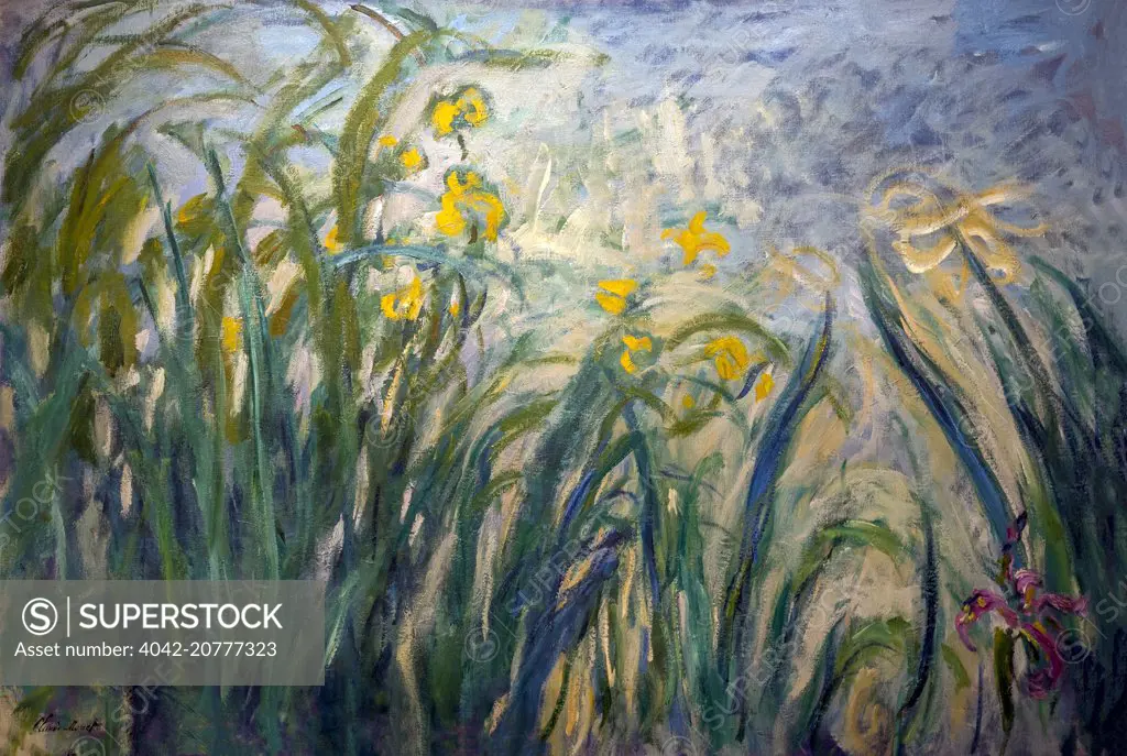 The Irises, by Clude Monet, circa 1915-22, Musee Marmottan Monet, Paris, France, Europe