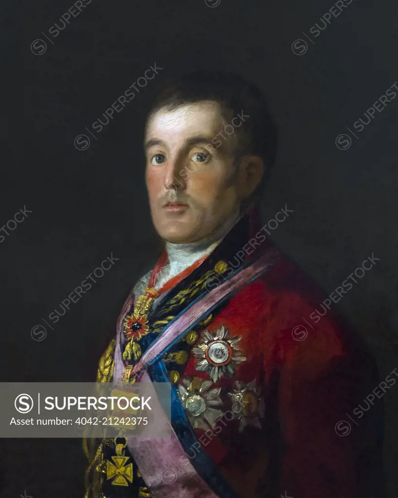 Duke of Wellington, by Francisco de Goya, 1812-14, National Gallery, London, England, UK, GB, Europe