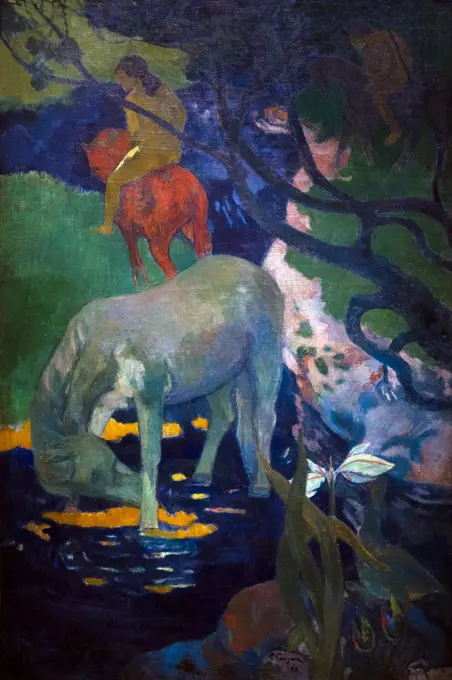 The White Horse, Le Cheval Blanc, by Paul Gauguin, 1898, Musee D'Orsay, Paris, France, Europe