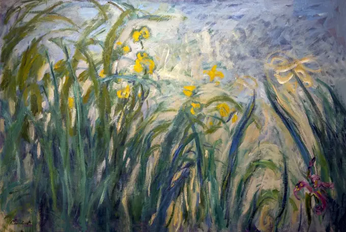 The Irises, by Clude Monet, circa 1915-22, Musee Marmottan Monet, Paris, France, Europe