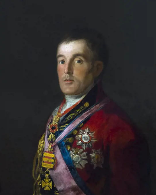 Duke of Wellington, by Francisco de Goya, 1812-14, National Gallery, London, England, UK, GB, Europe