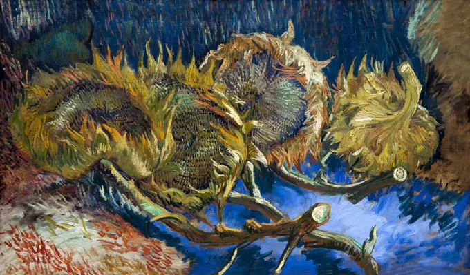 Four Sunflowers Gone to Seed, by Vincent van Gogh, 1887, Kroller-Muller Museum, Hoge Veluwe National Park, Otterlo, Netherlands, Europe