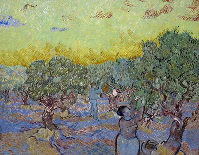 Olive Grove with Two Pickers, by Vincent van Gogh, 1889, Kroller-Muller Museum, Hoge Veluwe National Park, Otterlo, Netherlands, Europe