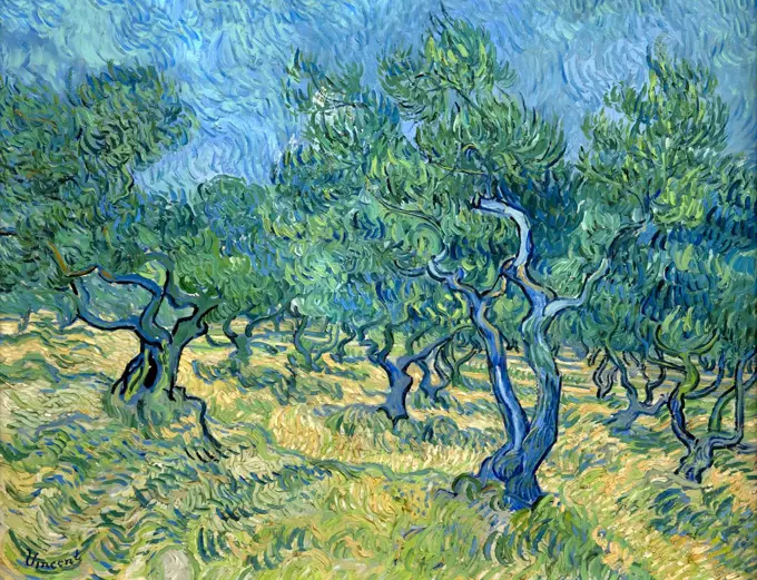 Olive Grove, by Vincent van Gogh, 1889, Kroller-Muller Museum, Hoge Veluwe National Park, Otterlo, Netherlands, Europe