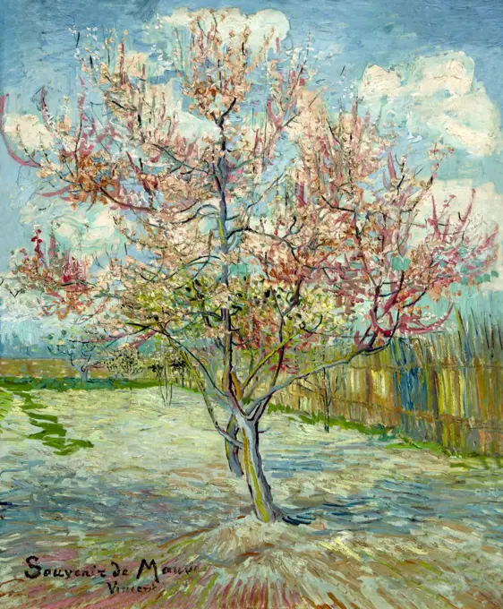 Pink Peach Trees, by Vincent van Gogh, 1888, Kroller-Muller Museum, Hoge Veluwe National Park, Otterlo, Netherlands, Europe