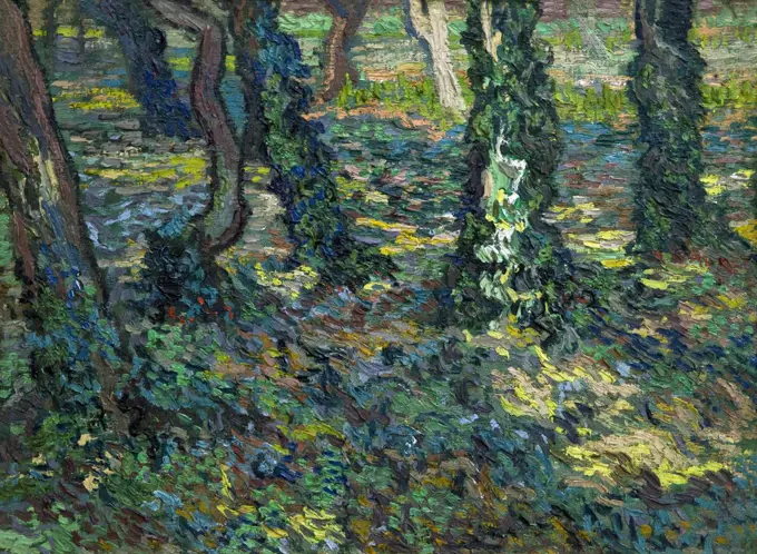 Tree Trunks with Ivy, by Vincent van Gogh, 1889, Kroller-Muller Museum, Hoge Veluwe National Park, Otterlo, Netherlands, Europe