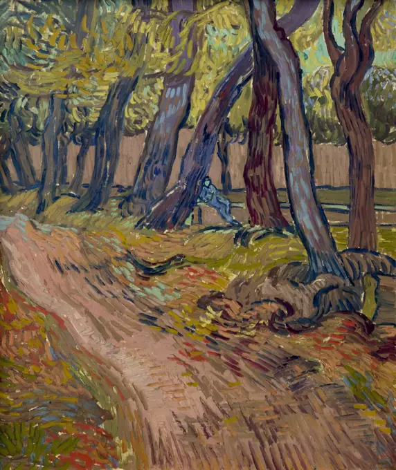 Path in the Garden of the Asylum, by Vincent van Gogh, 1889, Kroller-Muller Museum, Hoge Veluwe National Park, Otterlo, Netherlands, Europe