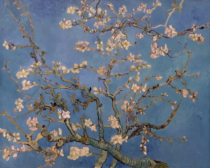 Almond Blossom, by Vincent van Gogh, 1890 oil on canvas, Netherlands, Europe