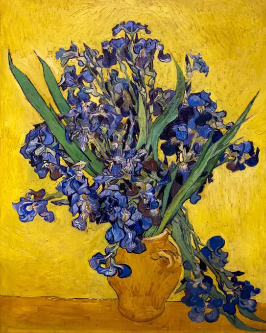 Irises, by Vincent van Gogh, 1890, oil on canvas, Netherlands, Europe