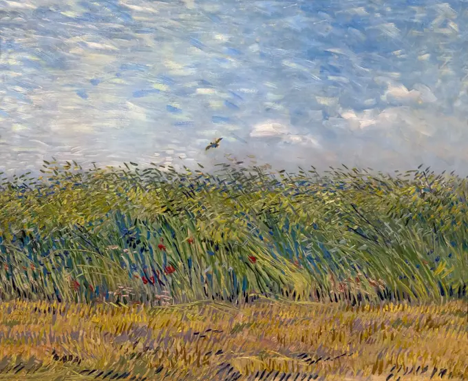 Wheat Field with a Lark, by Vincent van Gogh, 1887, Netherlands, Europe