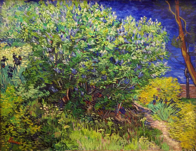 Russia, Saint Petersburg, State Hermitage Museum, Lilac bush, by Vincent van Gogh, circa 1889