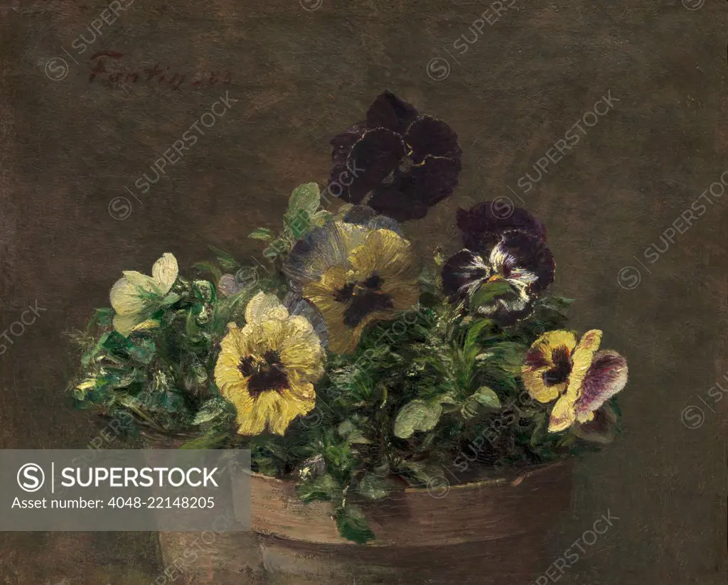 Potted Pansies, by Henri Fantin-Latour, 1883, French impressionist painting, oil on canvas. This is a small painting, measuring only 11  13 1/2 inches (BSLOC_2017_3_152)