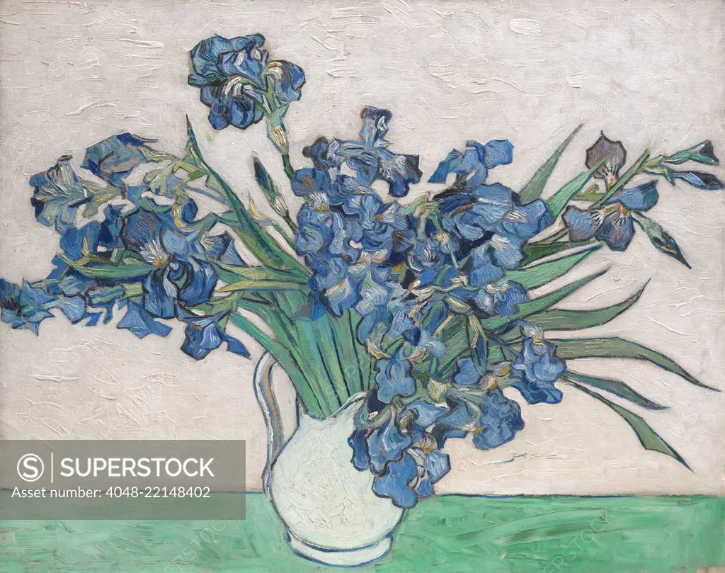 Irises, by Vincent Van Gogh, 1890, Dutch Post-Impressionist, oil on canvas. The painting's original pink background has faded because he used impermanent red pigments (BSLOC_2017_5_41)