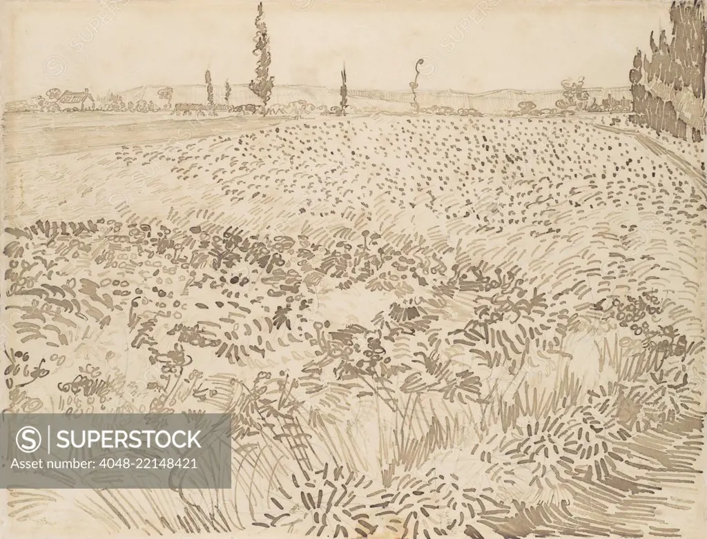 Wheat Field, by Vincent Van Gogh, 1888, Dutch Post-Impressionist reed pen over graphite drawing. The drawing marks grow smaller as the illusionistic space recedes (BSLOC_2017_5_58)