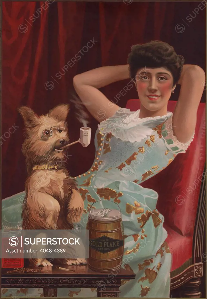 Detail of smoking dog in advertisement for Globe Tobacco Company, Gold Flake Cut Plug chewing tobacco, showing a young woman lounging as a dog wearing glasses smokes a pipe. On the table are a box and a tin of Gold Flake Cut Plug chewing tobacco, 1885