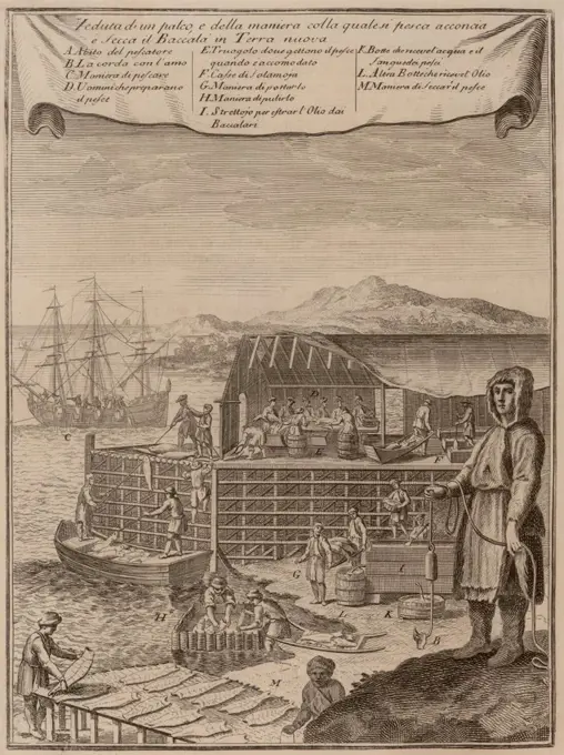 A fish drying station in New France or Newfoundland, in the 18th century. Image details show men fishing for cod, unloading fish from a boat, processing and fileting fish, extracting the oil from the cod livers, drying fish on a rack, and packing it in salt. In the 17th century, New England colonists joined the marine harvest to export dried fish for the expanding West Indian slave labor force  (BSLOC_2020_1_160)