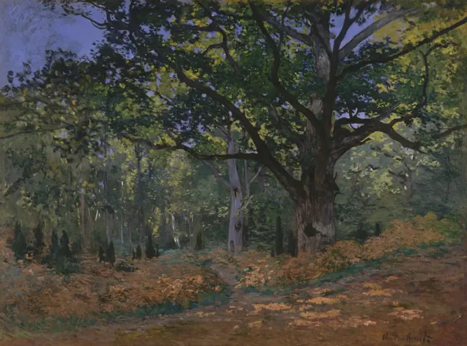 The Bodmer Oak, Fontainebleau Forest, by Claude Monet, 1865, French impressionist oil painting. Bodmer Oak was named after Swiss artist Karl Bodmer who painted this tree 15 years earlier (BSLOC_2017_3_16)