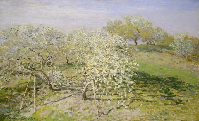 Spring (Fruit Trees in Bloom), by Claude Monet, 1873, French impressionist painting, oil on canvas. This work was painted near his home in Argenteuil, on the Seine, northwest of Paris (BSLOC_2017_3_23)