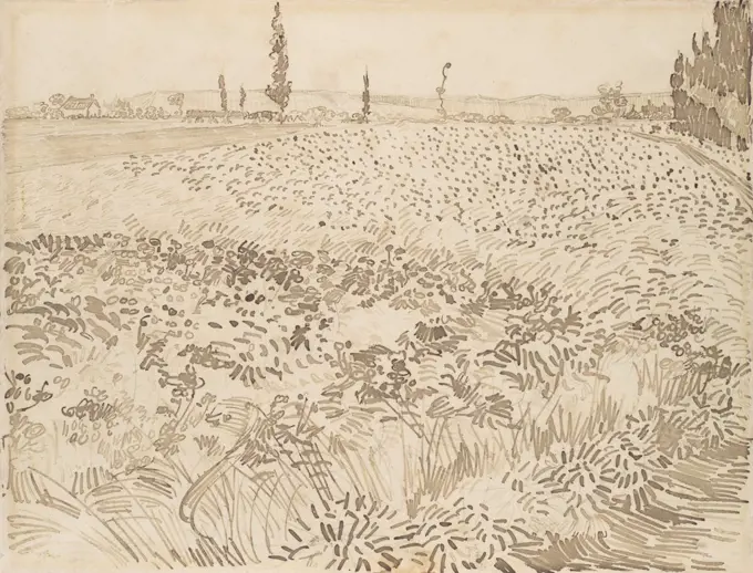 Wheat Field, by Vincent Van Gogh, 1888, Dutch Post-Impressionist reed pen over graphite drawing. The drawing marks grow smaller as the illusionistic space recedes (BSLOC_2017_5_58)