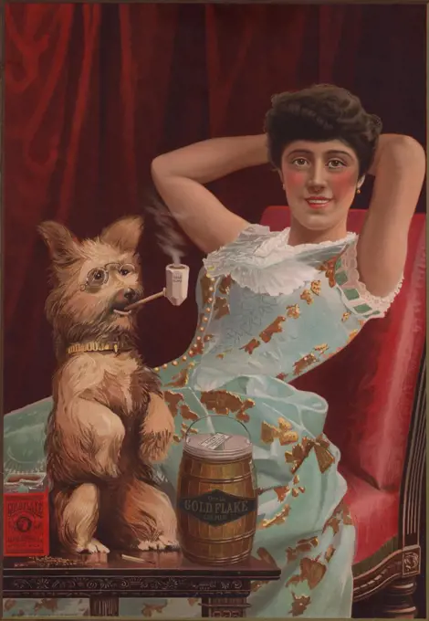 Detail of smoking dog in advertisement for Globe Tobacco Company, Gold Flake Cut Plug chewing tobacco, showing a young woman lounging as a dog wearing glasses smokes a pipe. On the table are a box and a tin of Gold Flake Cut Plug chewing tobacco, 1885