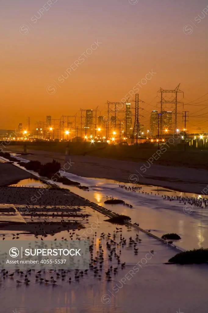 Los Angeles River with waterfowl, south of downtown Los Angeles. Bell, Los Angeles, California, USA