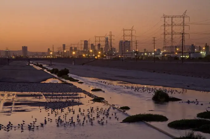 Los Angeles River with waterfowl, south of downtown Los Angeles. Bell, Los Angeles, California, USA