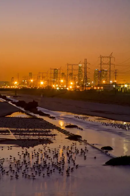 Los Angeles River with waterfowl, south of downtown Los Angeles. Bell, Los Angeles, California, USA